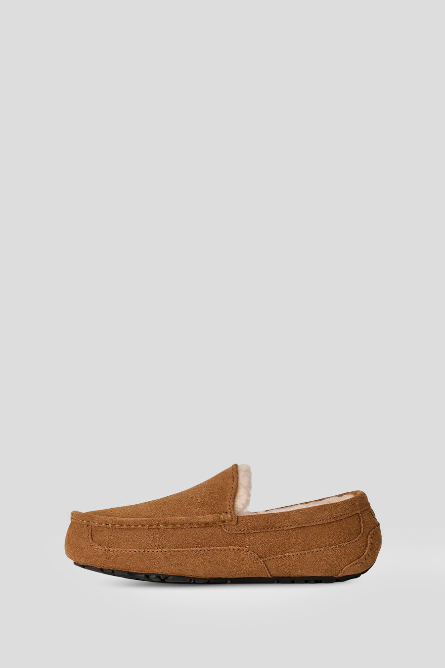 UGG - CHAUSSON ASCOT CHESTNUT - LE LABO STORE