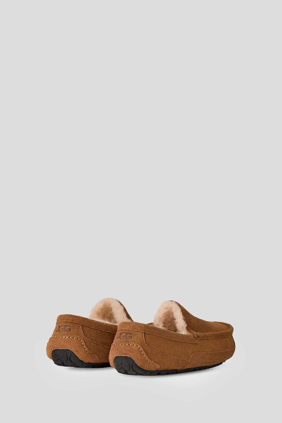 UGG - CHAUSSON ASCOT CHESTNUT - LE LABO STORE