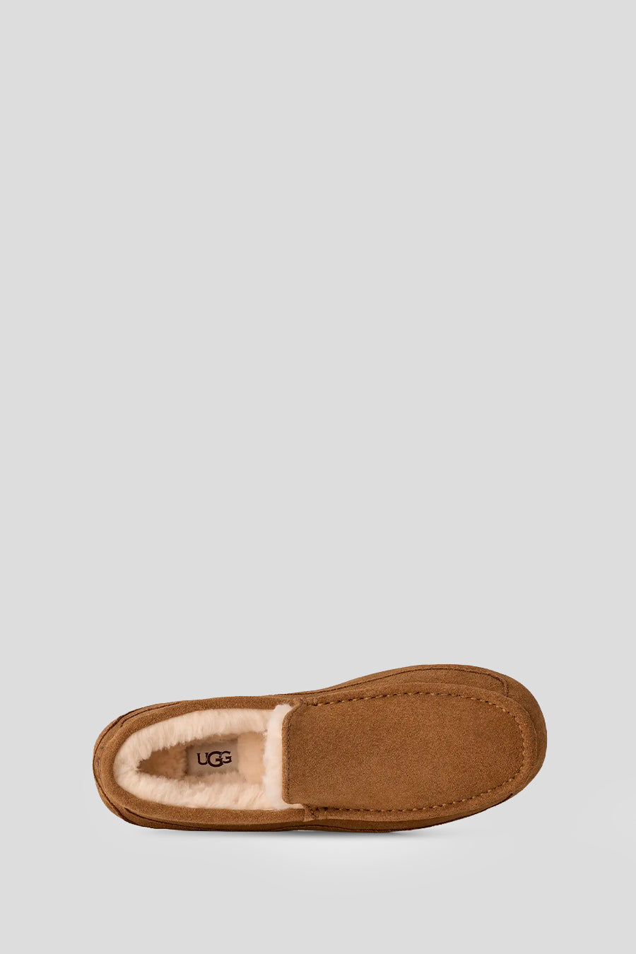 UGG - CHAUSSON ASCOT CHESTNUT - LE LABO STORE