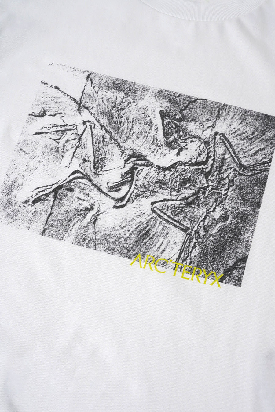 Arc'teryx - WHITE KRAGG LITHOGRAPHICA T-SHIRT - LE LABO STORE