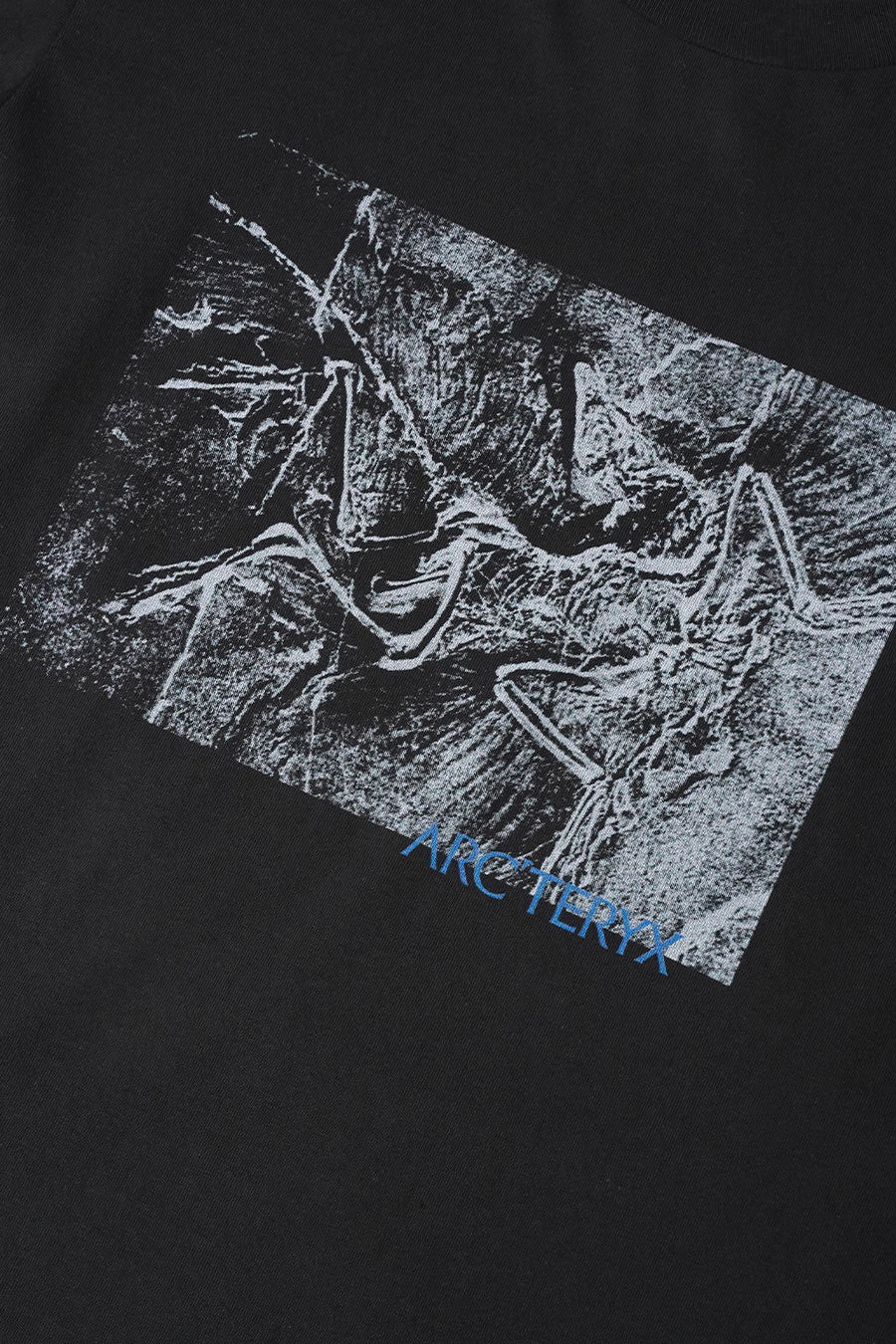 Arc'teryx - T-SHIRT KRAGG LITHOGRAPHICA NOIR - LE LABO STORE