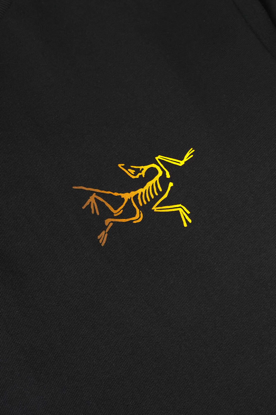 Arc'teryx - T-SHIRT KRAGG LOGO 24K NOIR - LE LABO STORE