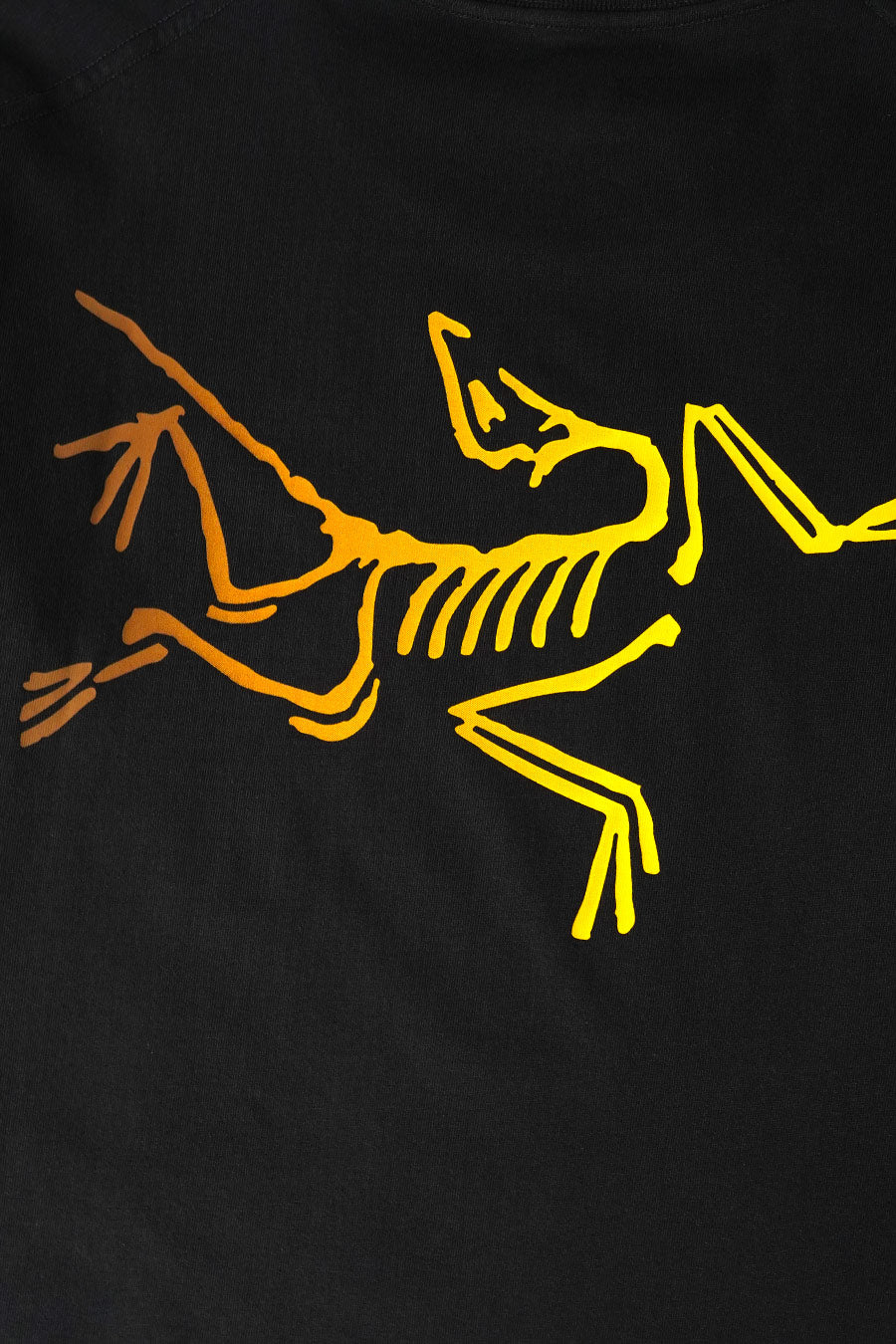 Arc'teryx - T-SHIRT KRAGG LOGO 24K NOIR - LE LABO STORE