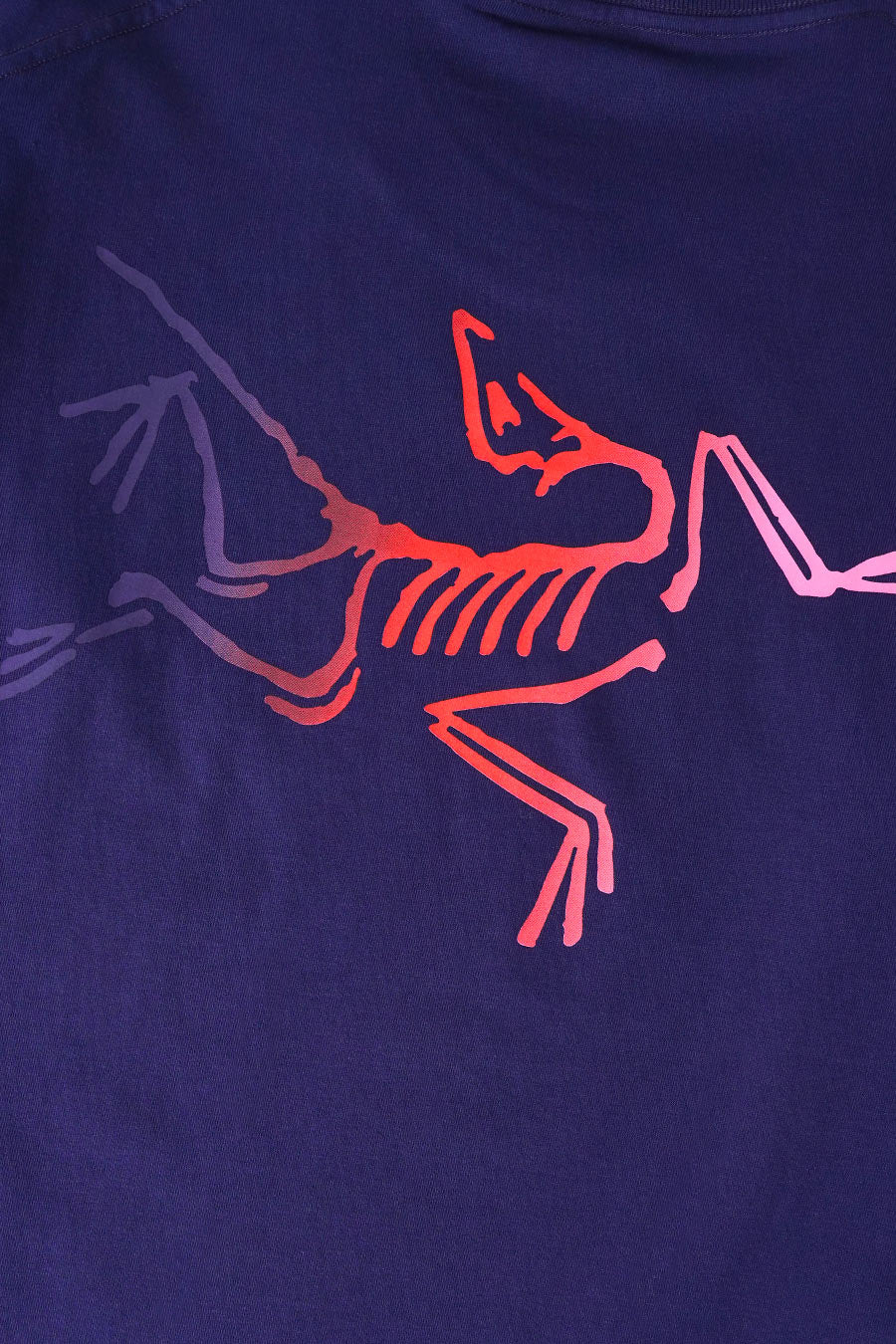 Arc'teryx - T-SHIRT KRAGG LOGO SOULSONIC ET DYNASTY - LE LABO STORE