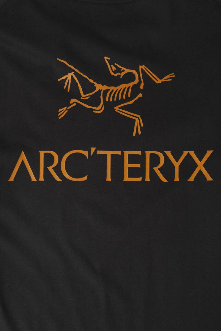 Arc'teryx - T-SHIRT KRAGG SL BIRD WORD 24K BLACK - LE LABO STORE