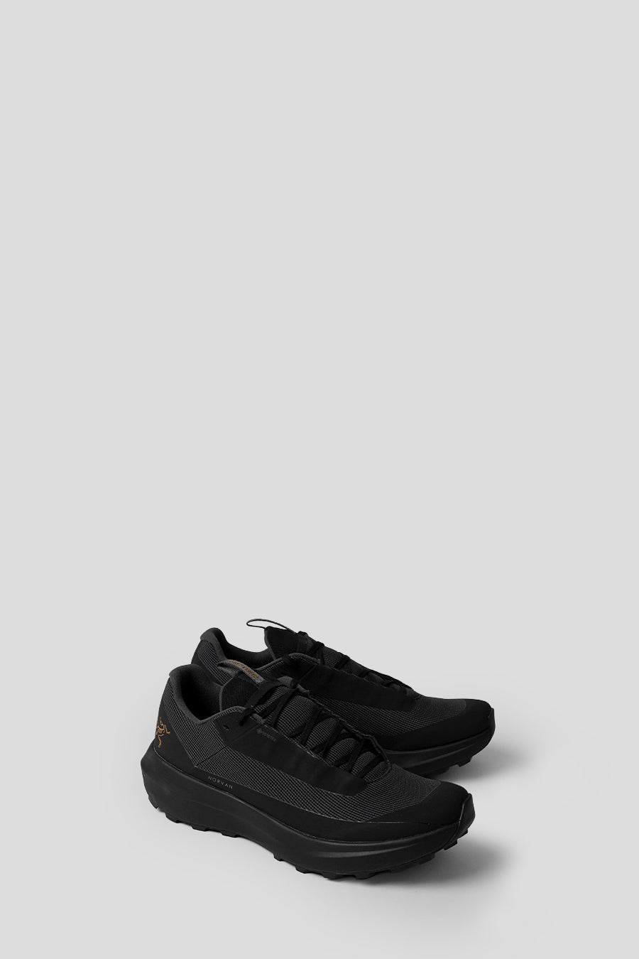 Arc'teryx - SNEAKERS NORVAN LD 4 GTX BLACK - LE LABO STORE