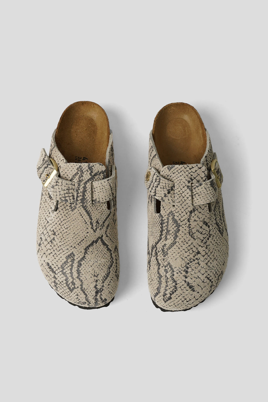 BIRKENSTOCK - BOSTON RIVET LOGO SNAKE OYSTER - LE LABO STORE