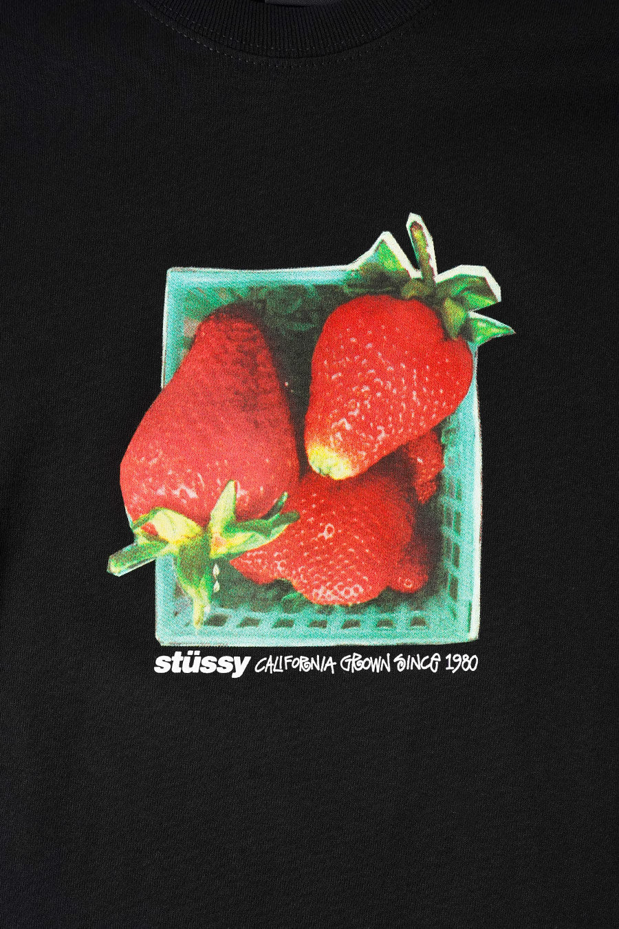Stussy - T-SHIRT BERRIES NOIR - LE LABO STORE