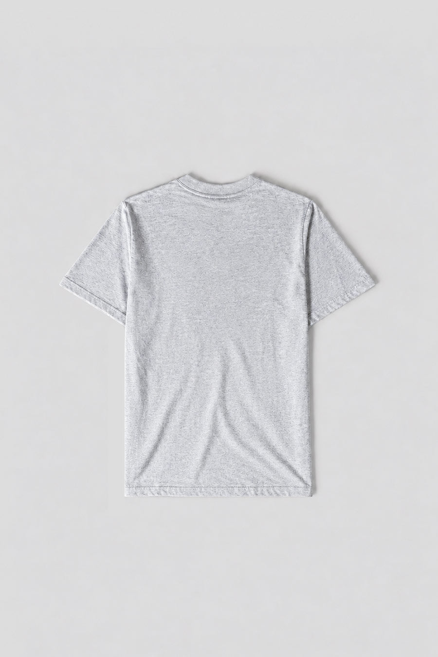 Stussy - ASH GREY BLOCK SPORT T-SHIRT - LE LABO STORE